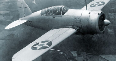 The Acclaimed British EM-2 Rifle Was Built by a Polish Immigrant The Brewster Buffalo Was An Unlikely Fighter Plane—But Finland Loved It