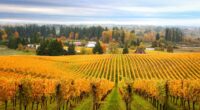 What Does Stand and Hit Mean in Blackjack? 3 Things to Know Before Planning a Trip to Oregon Wine Country
