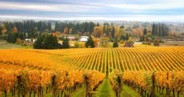 Malta Beyond the Beach – Top Waterfall and Inland Adventures 3 Things to Know Before Planning a Trip to Oregon Wine Country