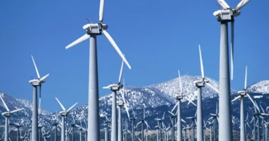 Tom Petty – Runnin’ Down a Dream 3 US States That Produce the Most Renewable Energy in 2023