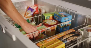 Botox Will Freeze My Face? 3 Aesthetic Myths Busted by Experts Understanding the Supply Chain: How Frozen Foods Reach Your Kitchen