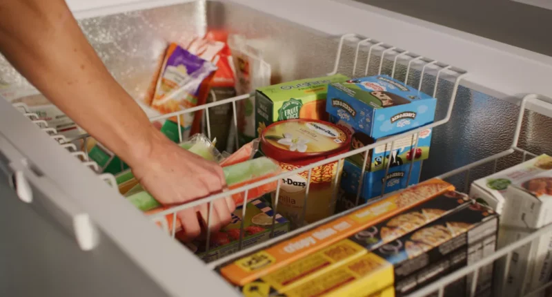 How Frozen Foods Reach Your Kitchen