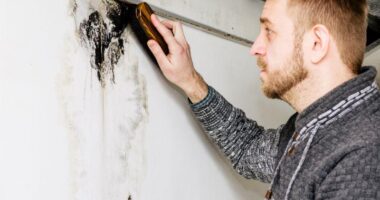Exterior Renovation Ideas to Enhance Your Homes Curb Appeal The Ultimate Checklist for Effective Mold Inspection
